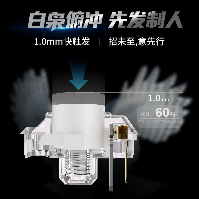 Kailh Choc White Owl Switch Mi - Gaming Keyboard Mini Mechanical review and price